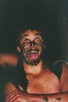 Maori Show in Mitai